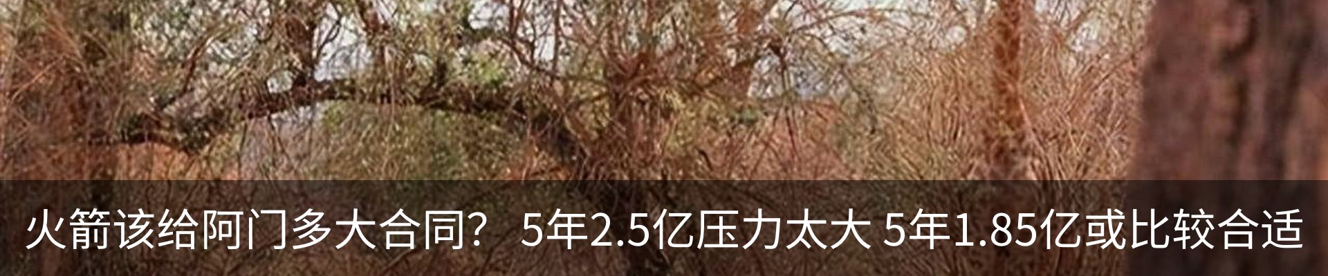 行业资讯